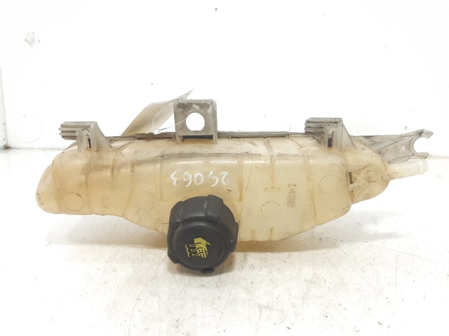 RENAULT 8200149742 в наличии Днепр