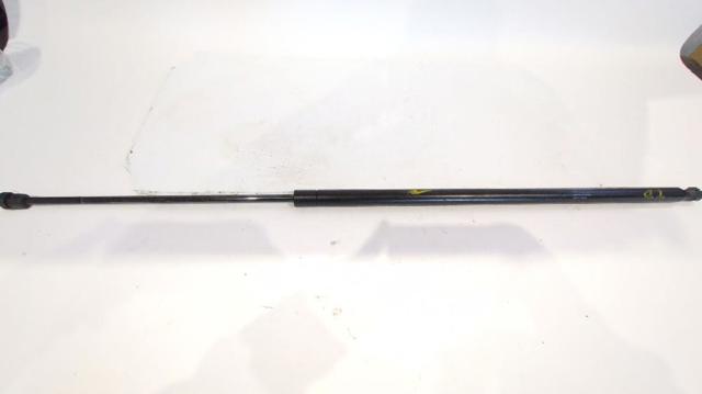 8200162697 Амортизатор багажника купить Запорожье