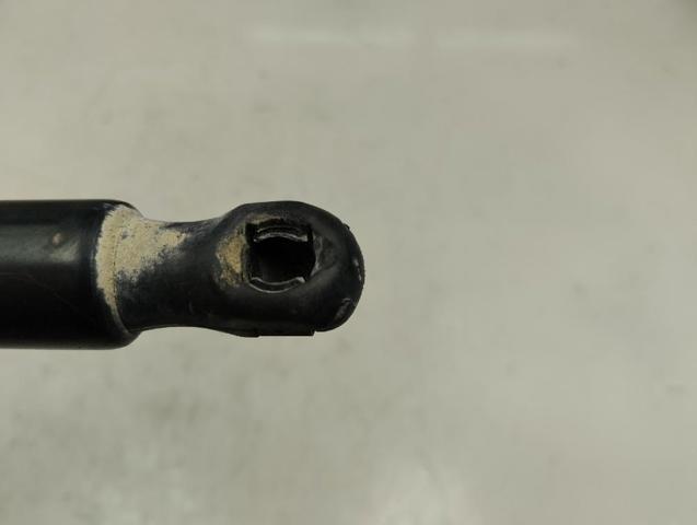 Amortecedor de tampa de porta-malas (de 3ª/5ª porta traseira) 8200174571 RENAULT