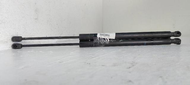 Amortecedor de tampa de porta-malas (de 3ª/5ª porta traseira) 8200174571 RENAULT