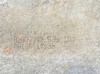 8200181920 Renault (RVI)