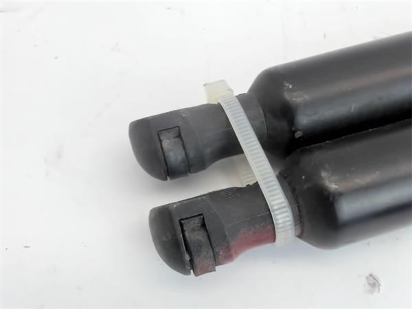 8200219322 Амортизатор багажника купить Кривой Рог
