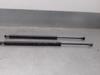 Amortecedor de tampa de porta-malas (de 3ª/5ª porta traseira) 8200219322 RENAULT