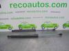 Amortecedor de tampa de porta-malas (de 3ª/5ª porta traseira) 8200299546 RENAULT