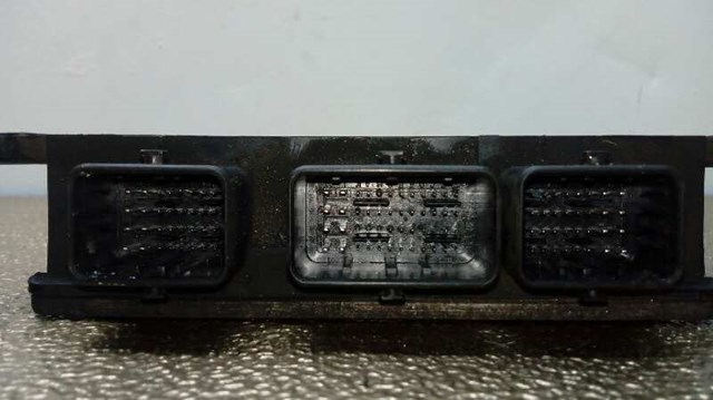 8200303619 RENAULT купить в Каменское