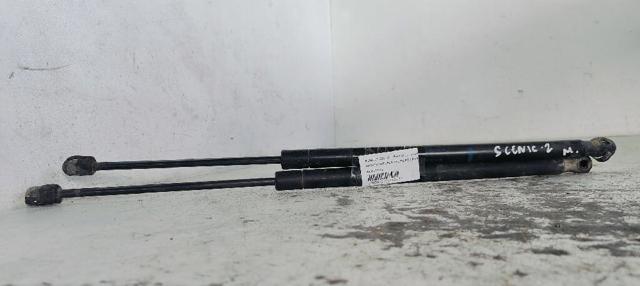Amortecedor de tampa de porta-malas (de 3ª/5ª porta traseira) 8200377199 RENAULT