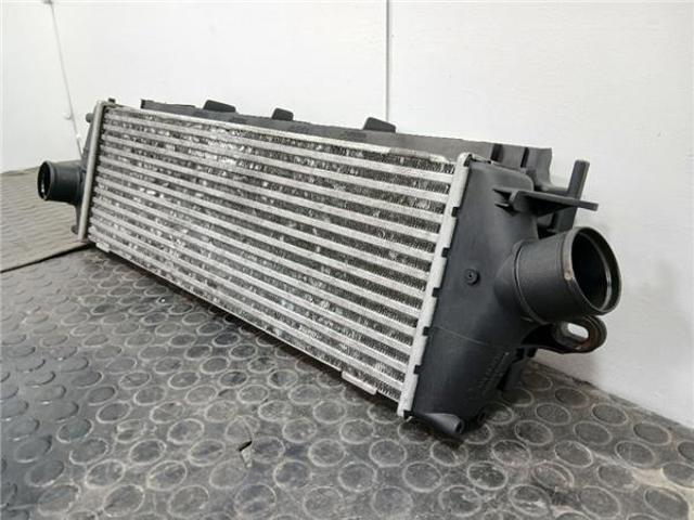 OPEL 8200411160 Интеркулер в наличии Черкассы
