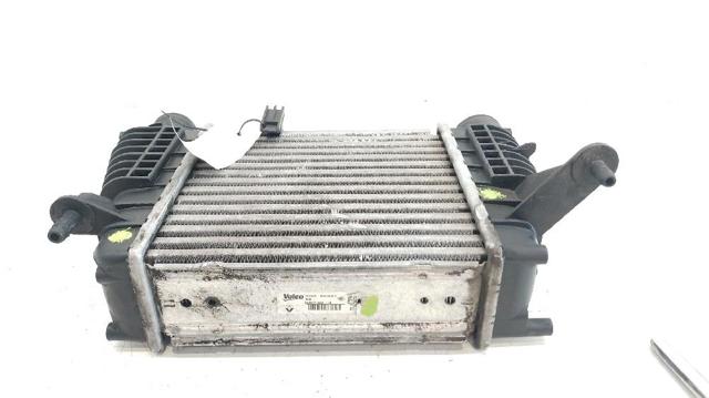 8200471885 Интеркулер купить Ужгород