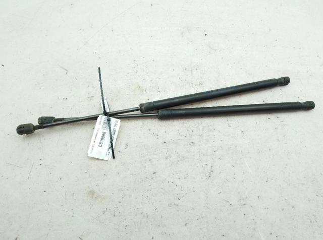 8200484676 RENAULT Амортизатор крышки багажника (двери 3/5-й задней) купить в Черновцы