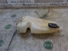 Tanque de fluido para lavador de vidro 8200609549 RENAULT
