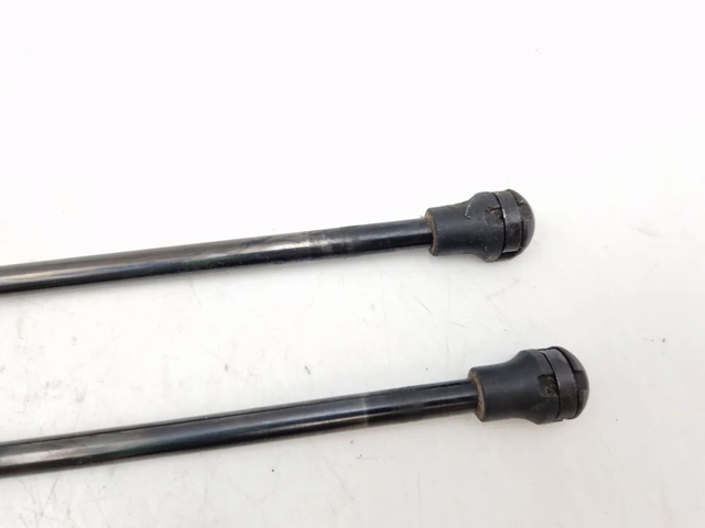 8200665709 RENAULT Амортизатор крышки багажника (двери 3/5-й задней) купить в Черновцы