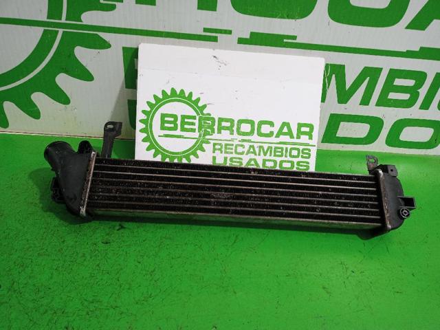 RENAULT 8200732390 Радиатор интеркуллера в наличии Житомир