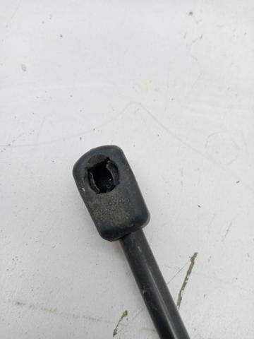 RENAULT 8200735264 Амортизатор багажника в наличии Житомир