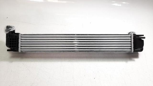 8200880552 RENAULT Радиатор интеркуллера купить в Винница