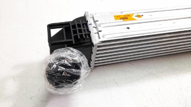 8200880552 RENAULT Интеркулер купить в Запорожье