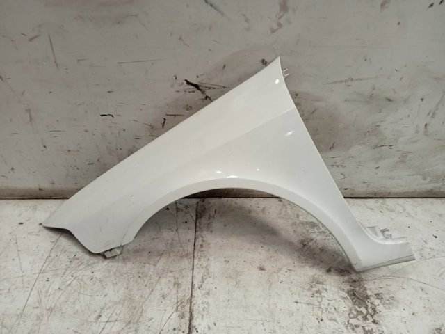 Pára-lama dianteiro esquerdo Renault Laguna 2 BG0, BG1