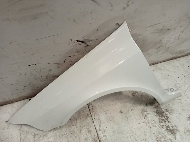 Pára-lama dianteiro esquerdo Renault Laguna 2 BG0, BG1