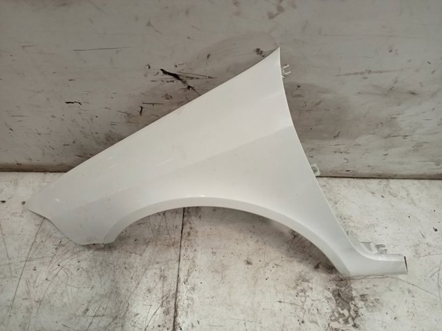 Pára-lama dianteiro esquerdo Renault Laguna 2 BG0, BG1