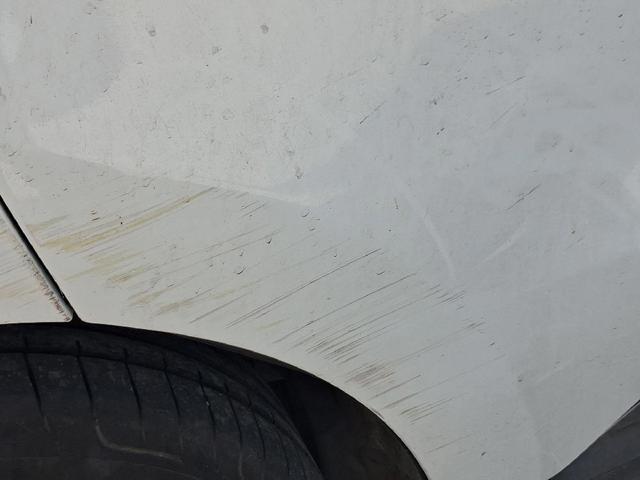 821002020R RENAULT Дверь задняя правая купить в Ужгород