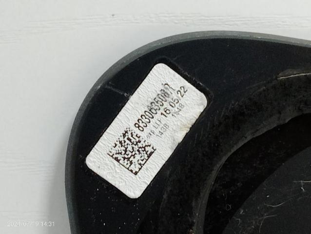 833064642R RENAULT Стекло кузова (багажного отсека) правое купить в Винница