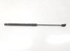Amortecedor de tampa de porta-malas (de 3ª/5ª porta traseira) 844300009R RENAULT