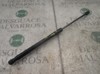 Amortecedor de tampa de porta-malas (de 3ª/5ª porta traseira) 844300009R RENAULT