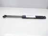 Amortecedor de tampa de porta-malas (de 3ª/5ª porta traseira) 844300009R RENAULT
