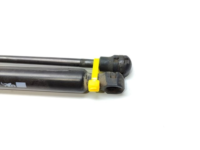 844308661R RENAULT Амортизатор багажника купить в Чернигов