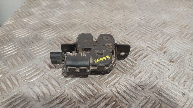 846300005R RENAULT Замок багажника купить в Тернополь