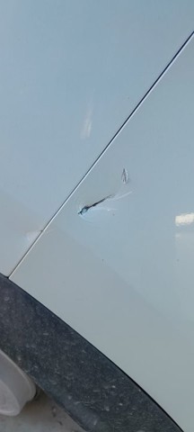 850B24277R RENAULT Бампер задний, нижняя часть купить в Запорожье