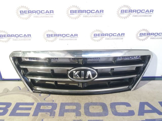 Grelha do radiador 863503E020 Hyundai/Kia