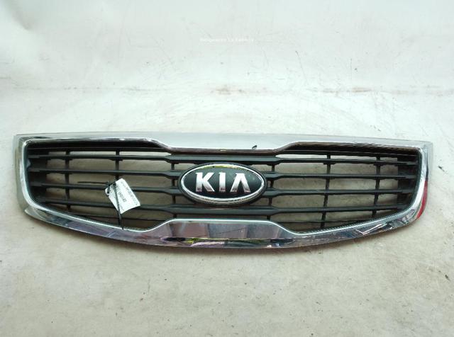 Grelha do radiador 863503U000 Hyundai/Kia