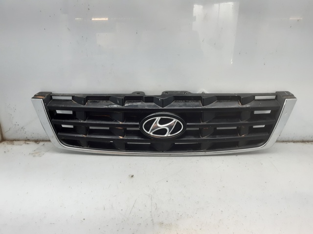 Grelha do radiador 8656125220 Hyundai/Kia