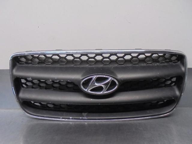 Grelha do radiador 865612B010 Hyundai/Kia