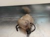 Tanque de expansão do sistema de esfriamento 8683455 VOLVO