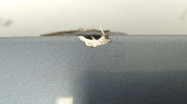8701AK PEUGEOT Ляда купить в Одесса