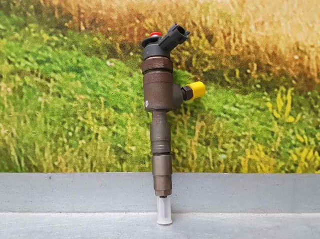 870689 PEUGEOT Топливные форсунки купить в Ужгород
