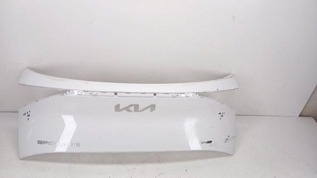 HYUNDAI 87311R2000 в наличии Николаев