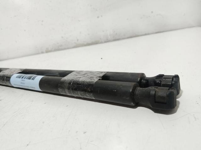 Amortecedor de tampa de porta-malas (de 3ª/5ª porta traseira) 8731C0 PEUGEOT