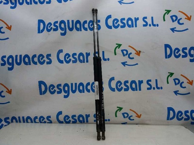 Amortecedor de tampa de porta-malas (de 3ª/5ª porta traseira) 8731E3 PEUGEOT