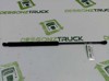 Amortecedor de tampa de porta-malas (de 3ª/5ª porta traseira) 8731E6 PEUGEOT