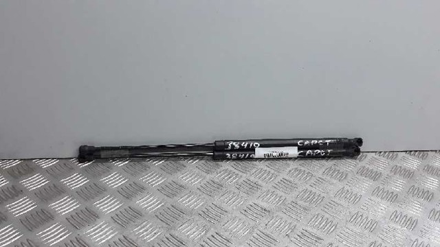 Amortecedor de tampa de porta-malas (de 3ª/5ª porta traseira) 8731F6 PEUGEOT