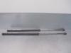 Amortecedor de tampa de porta-malas (de 3ª/5ª porta traseira) 8731T0 PEUGEOT