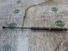 Amortecedor de tampa de porta-malas (de 3ª/5ª porta traseira) 8731T9 PEUGEOT