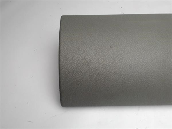 873909900R RENAULT купить в Павлоград