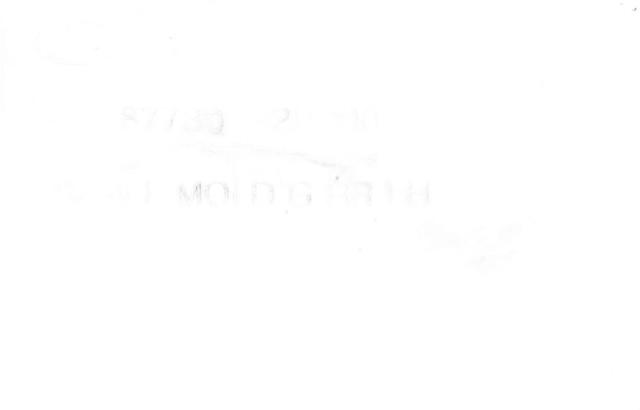 HYUNDAI 877302B000 Накладка (молдинг) порога наружная левая в наличии Житомир