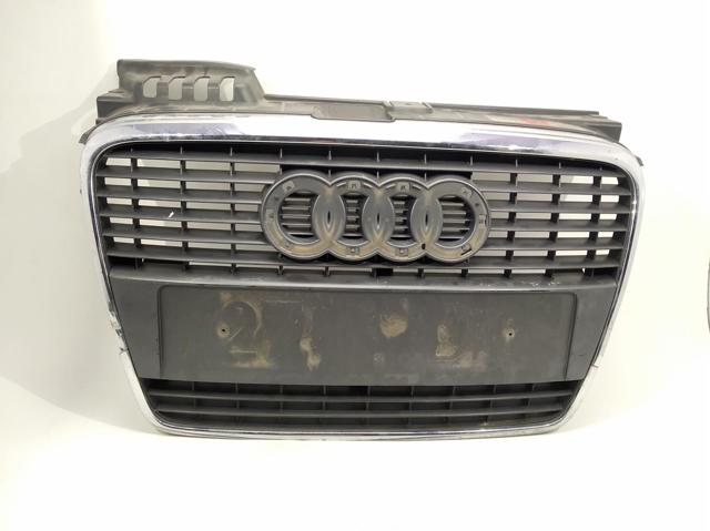 Grelha do radiador 8E0853651J VAG/Audi