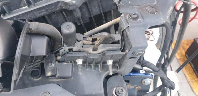 8S0823509B VAG/Audi