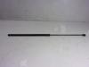 Amortecedor da capota 8U0823359B VAG