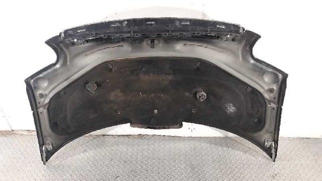 VAG 8Z0823029C Капот в наличии Кривой Рог
